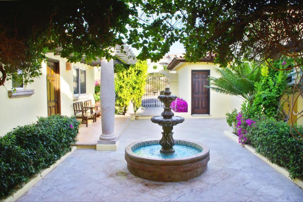 Agave Azul Is A Great Ocean Golf View Rental Perfect For Groups Families كابو سان لوكاس المظهر الخارجي الصورة